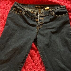 Stylish High Rise Women's Jeans in Blue